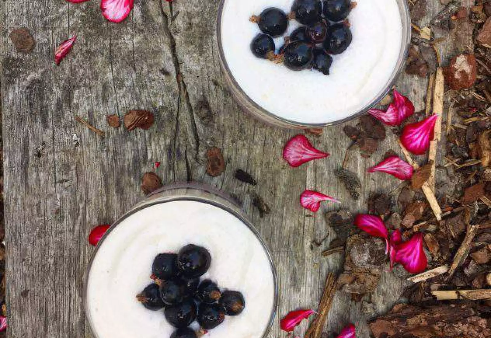 Pudink z Černého Rybízu a Lněného Semínka